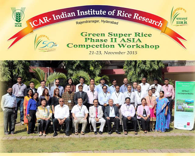 Green Super Rice to focus on upscaling and reaching resource-poor farmers