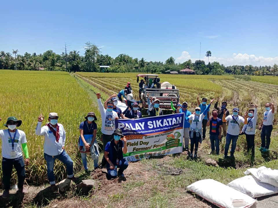 Green Super Rice variety surpasses 4.4 ton max yield, nets 8.3 tons/hectare in PhilRice field day | IRRI news