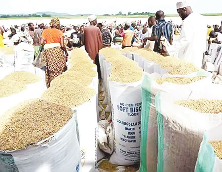 Nigerian farmers get drought, flood tolerant rice developed by AfricaRice, NCRI, others | Nigerian Tribune
